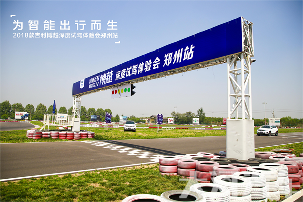 大河报汽车网