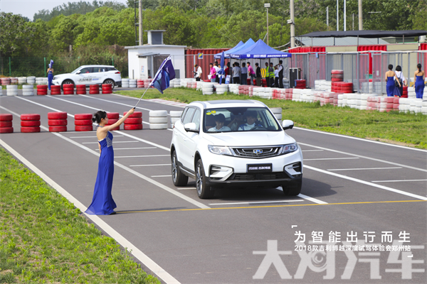 大河报汽车网