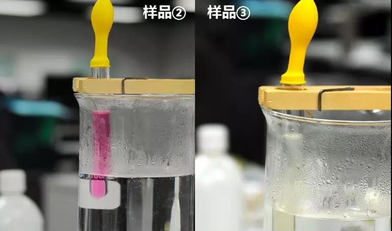 大河报汽车网
