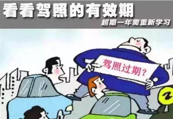 大河报汽车网