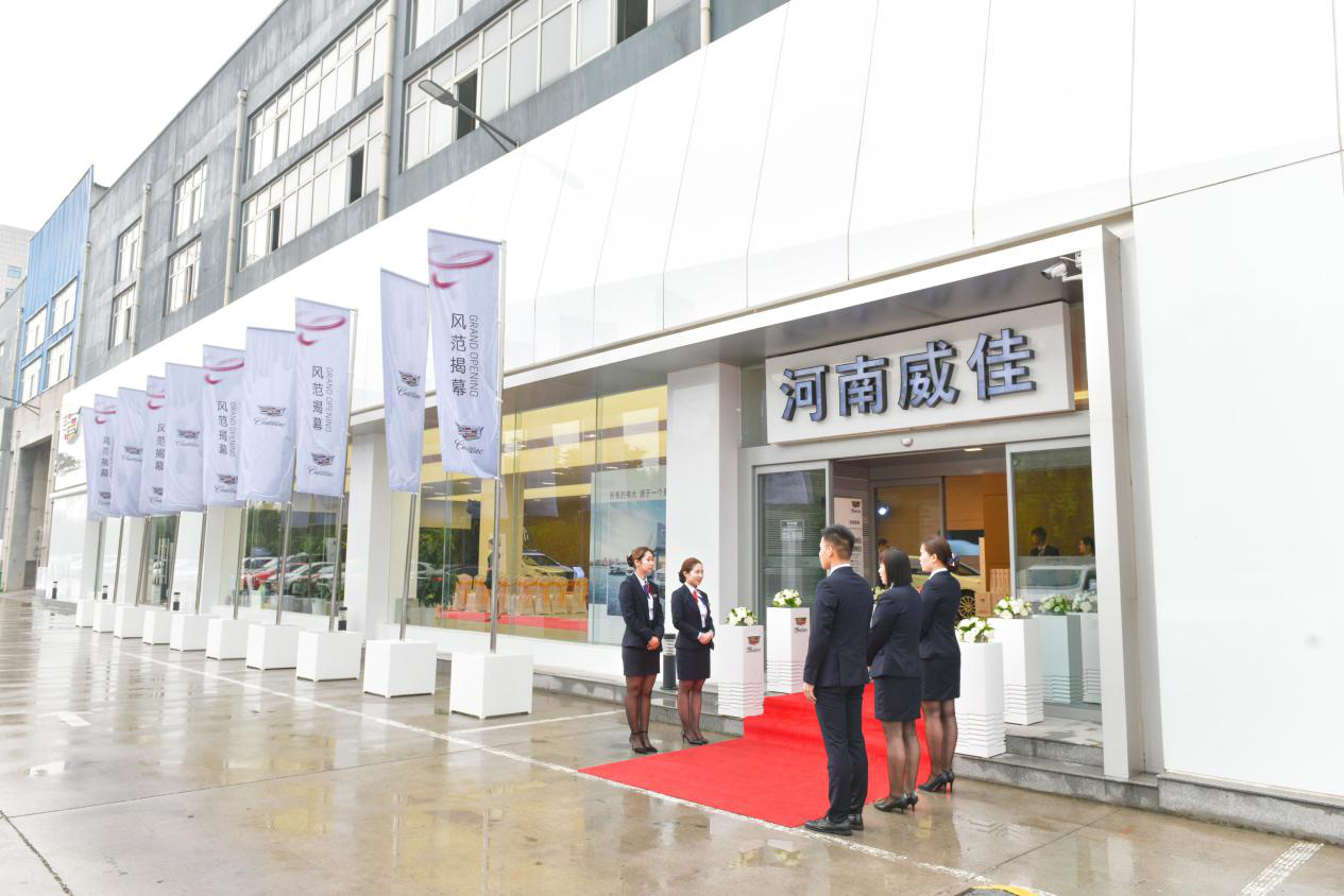 大河报汽车网