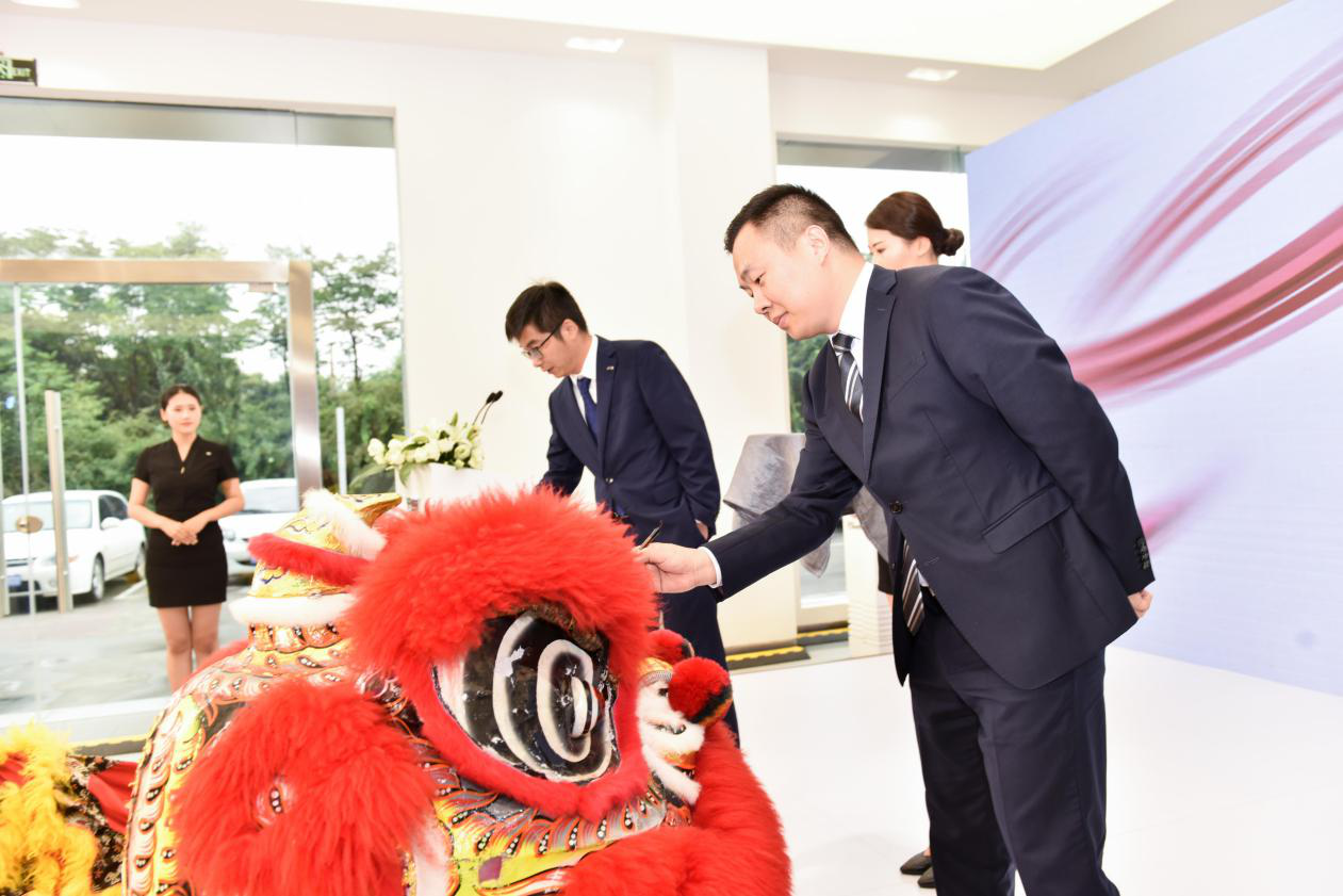 大河报汽车网