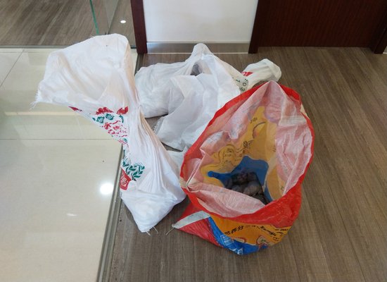大河报汽车网