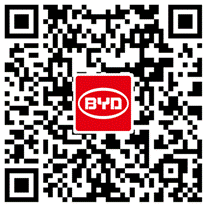 大河报汽车网
