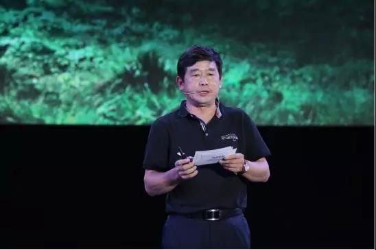 大河报汽车网