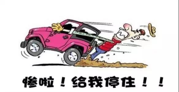 大河报汽车网