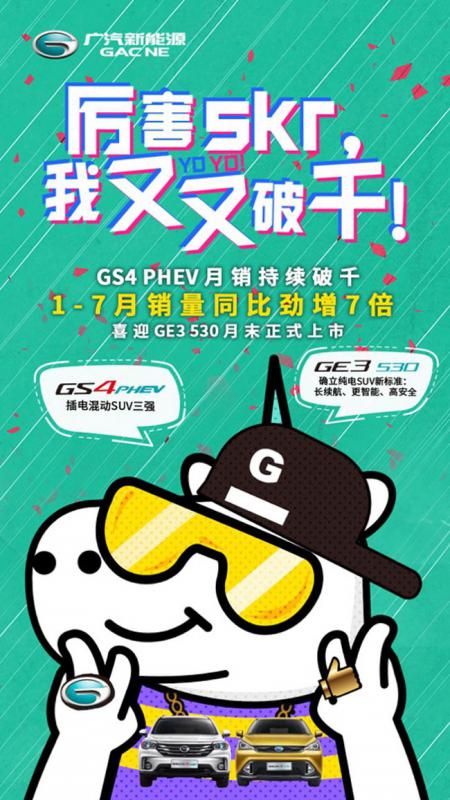 大河报汽车网