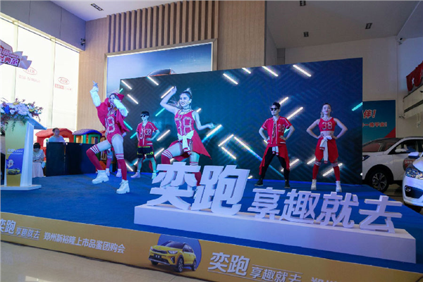 大河报汽车网