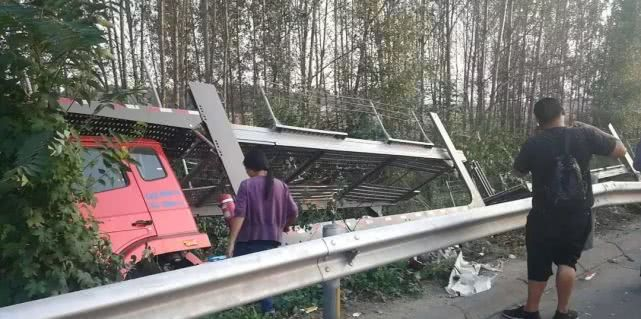 大河报汽车网