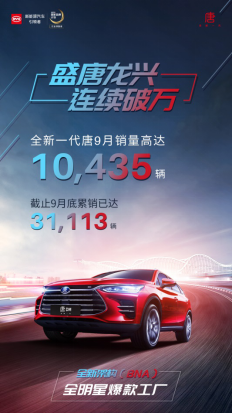 大河报汽车网