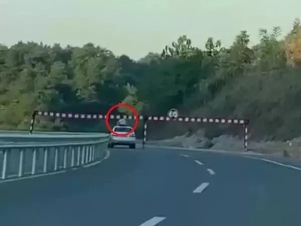 大河报汽车网