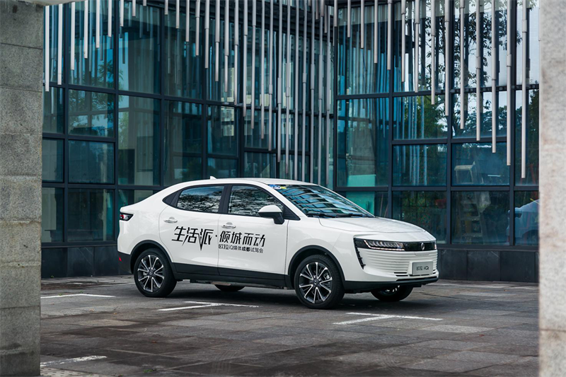 大河报汽车网