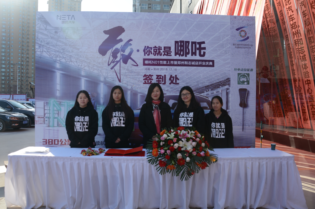 大河报汽车网