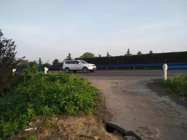 大河报汽车网