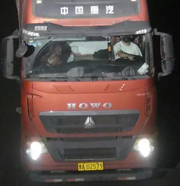 大河报汽车网