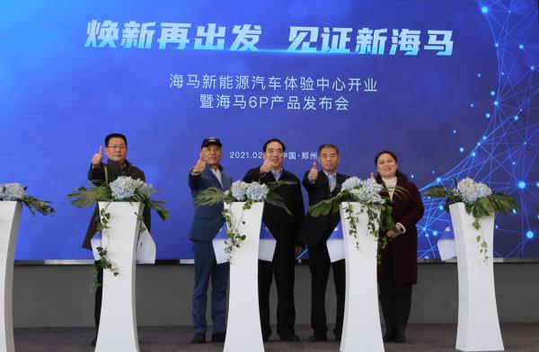 大河报汽车网