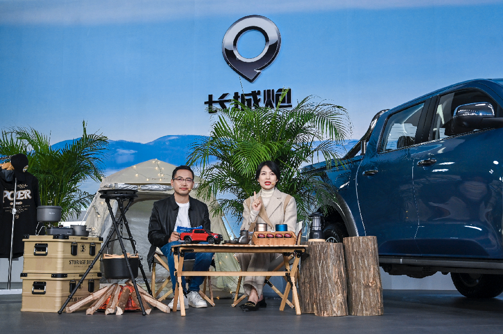 大河报汽车网