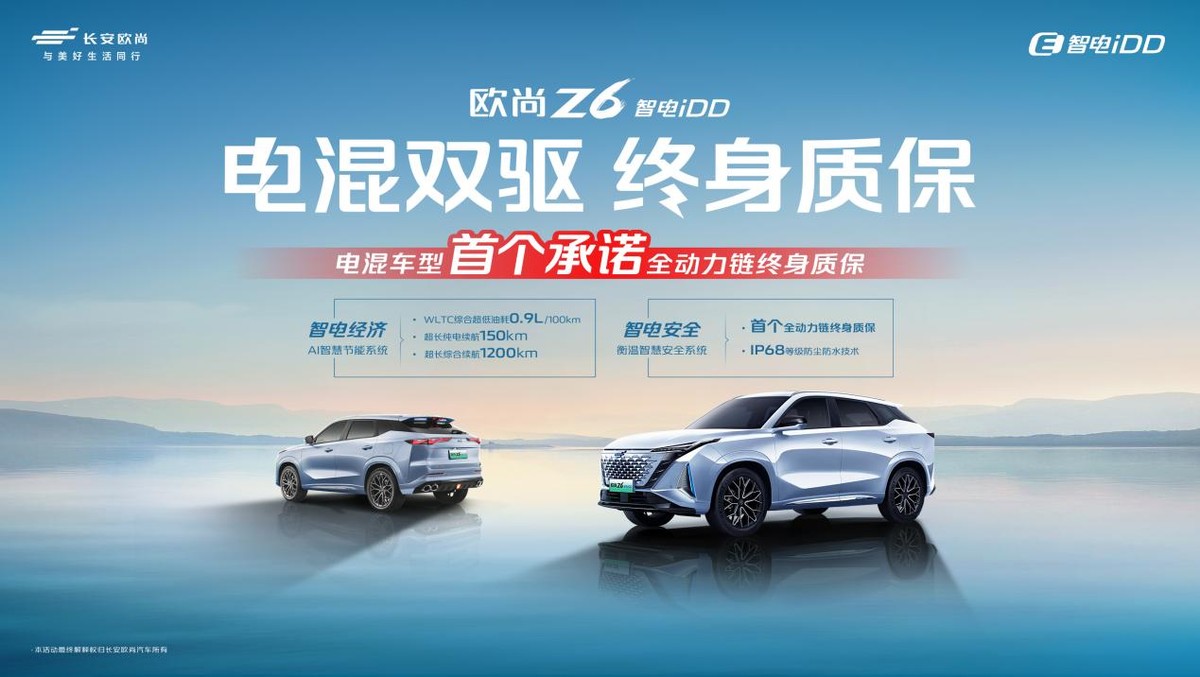 大河报汽车网