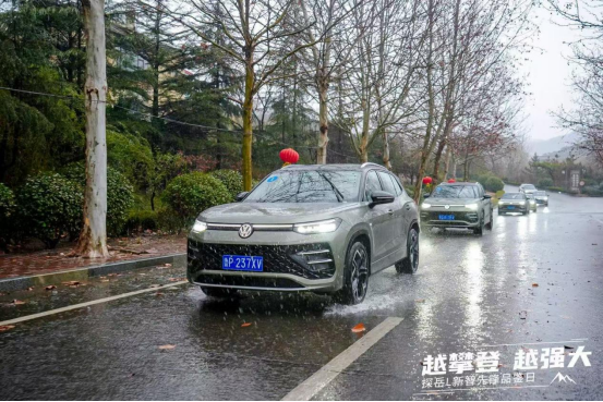 大河报汽车网