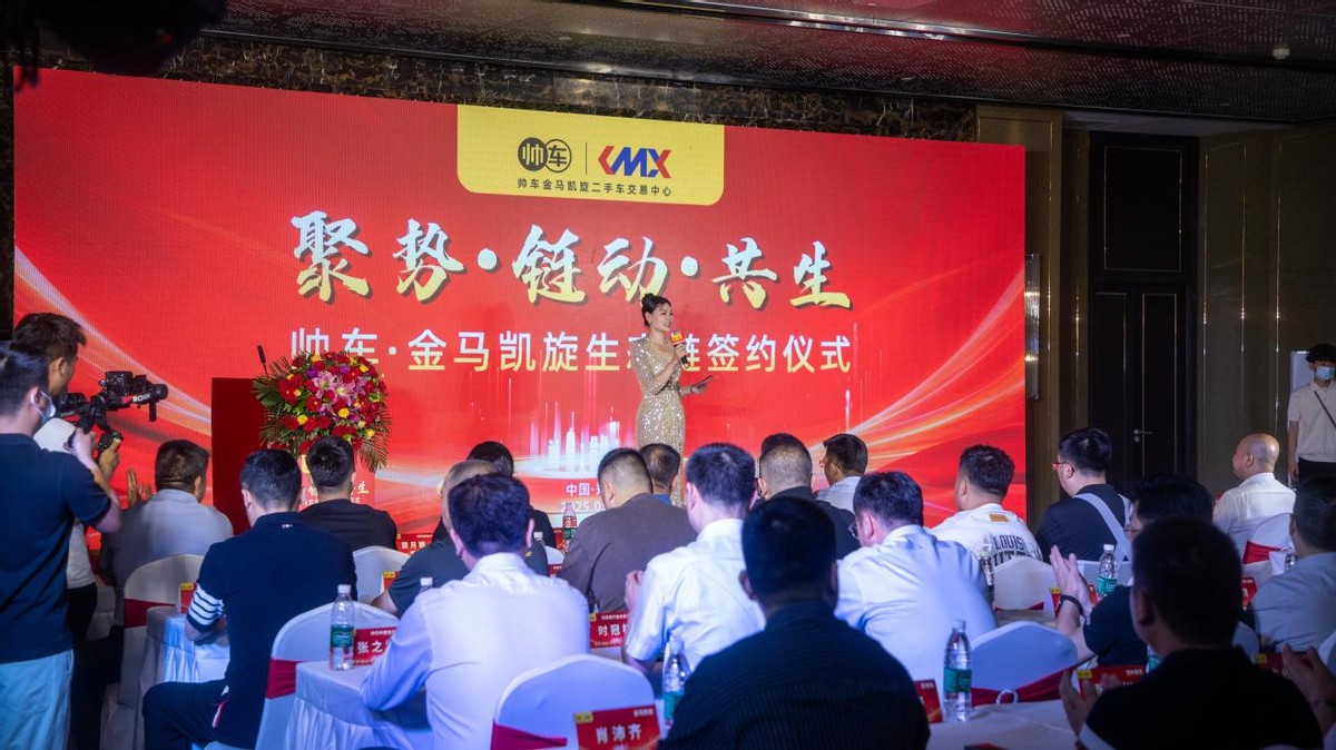 大河报汽车网