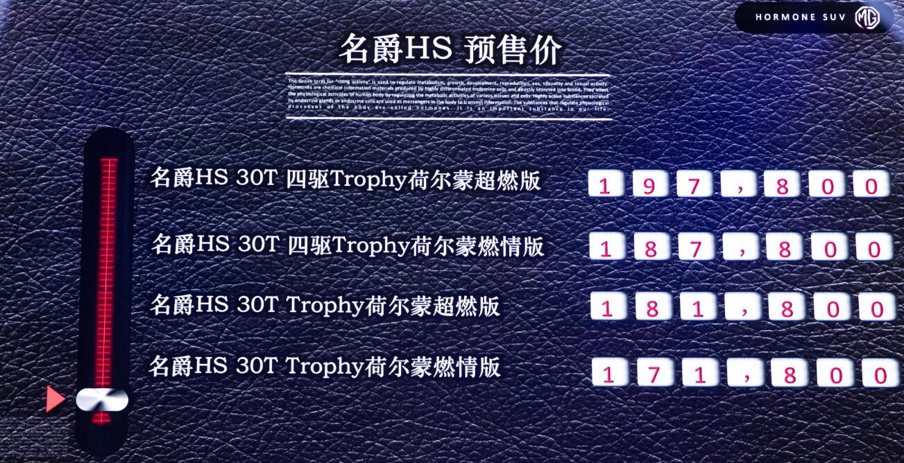 大河报汽车网