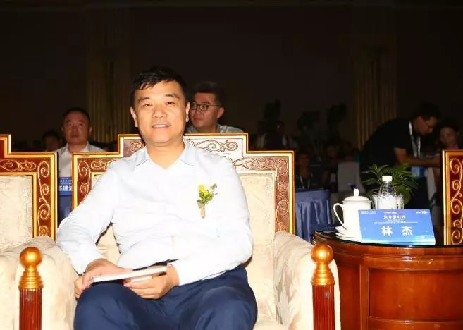 大河报汽车网