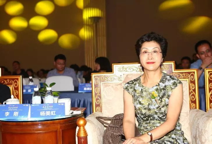 大河报汽车网