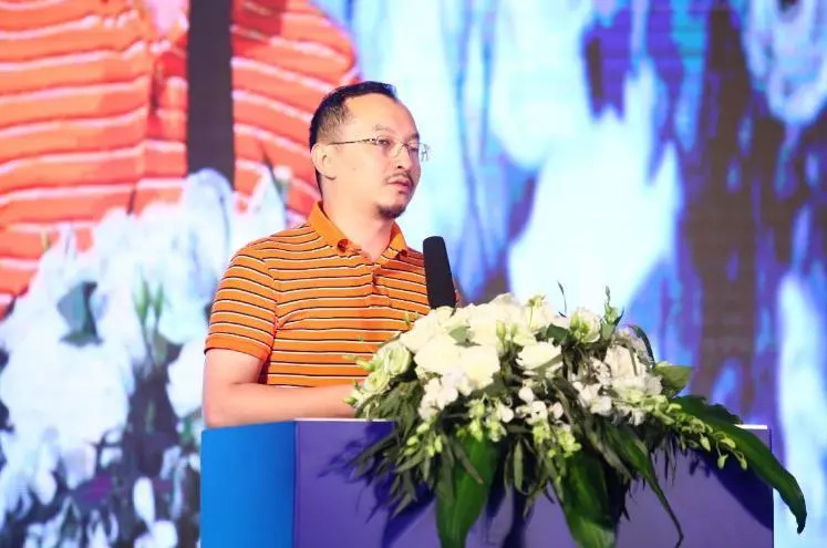 大河报汽车网
