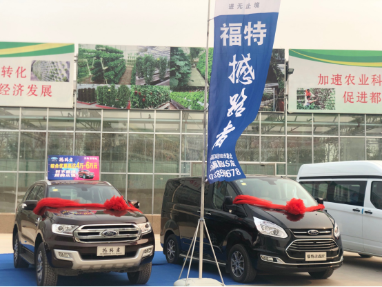 大河报汽车网