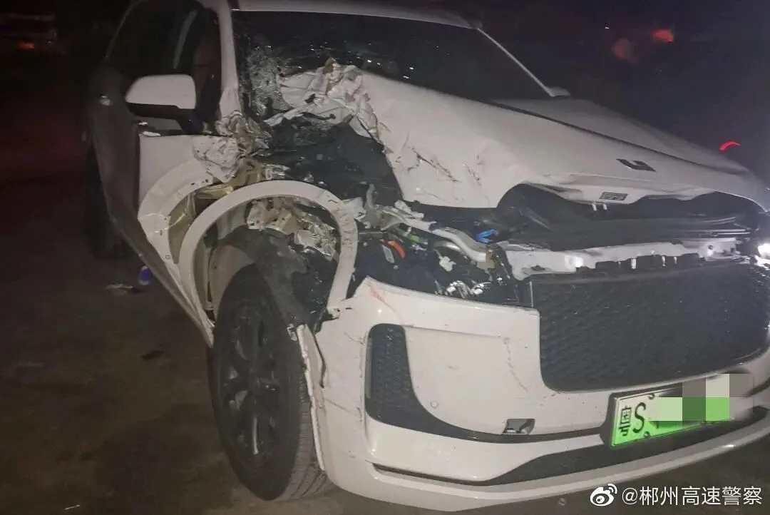 大河报汽车网