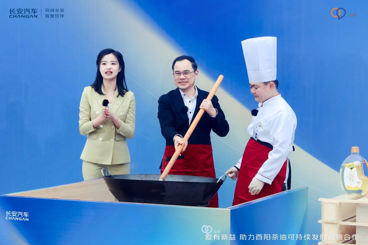 大河报汽车网