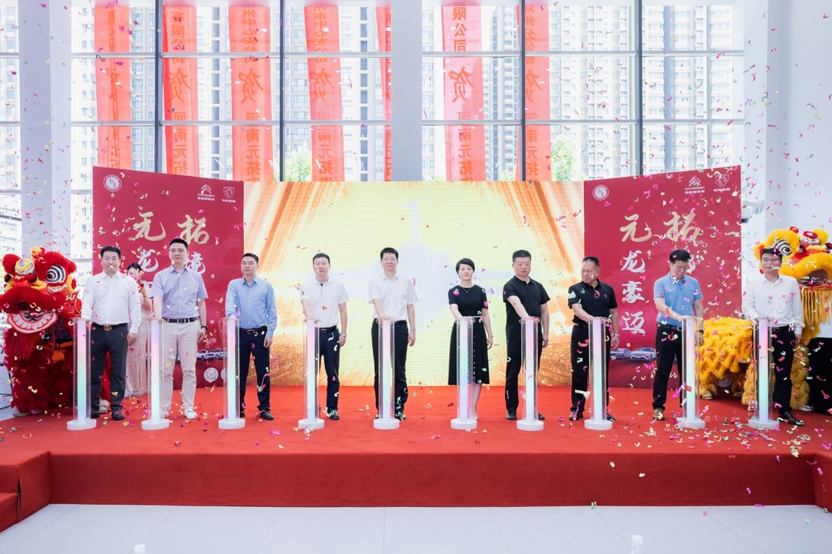 大河报汽车网