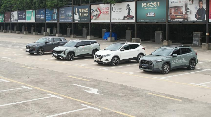 大河报汽车网