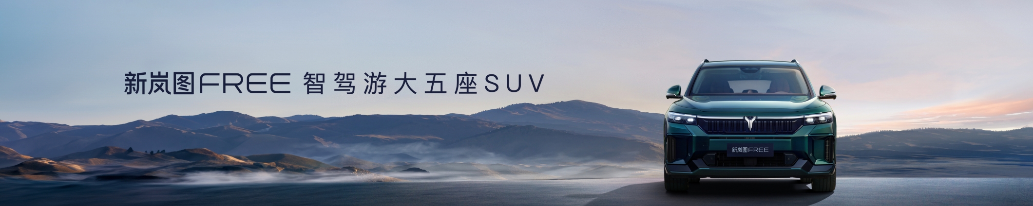 大河报汽车网