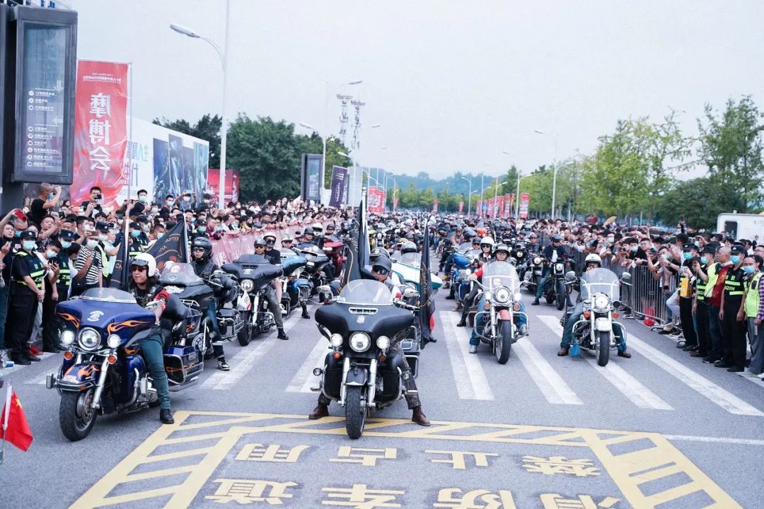 大河报汽车网