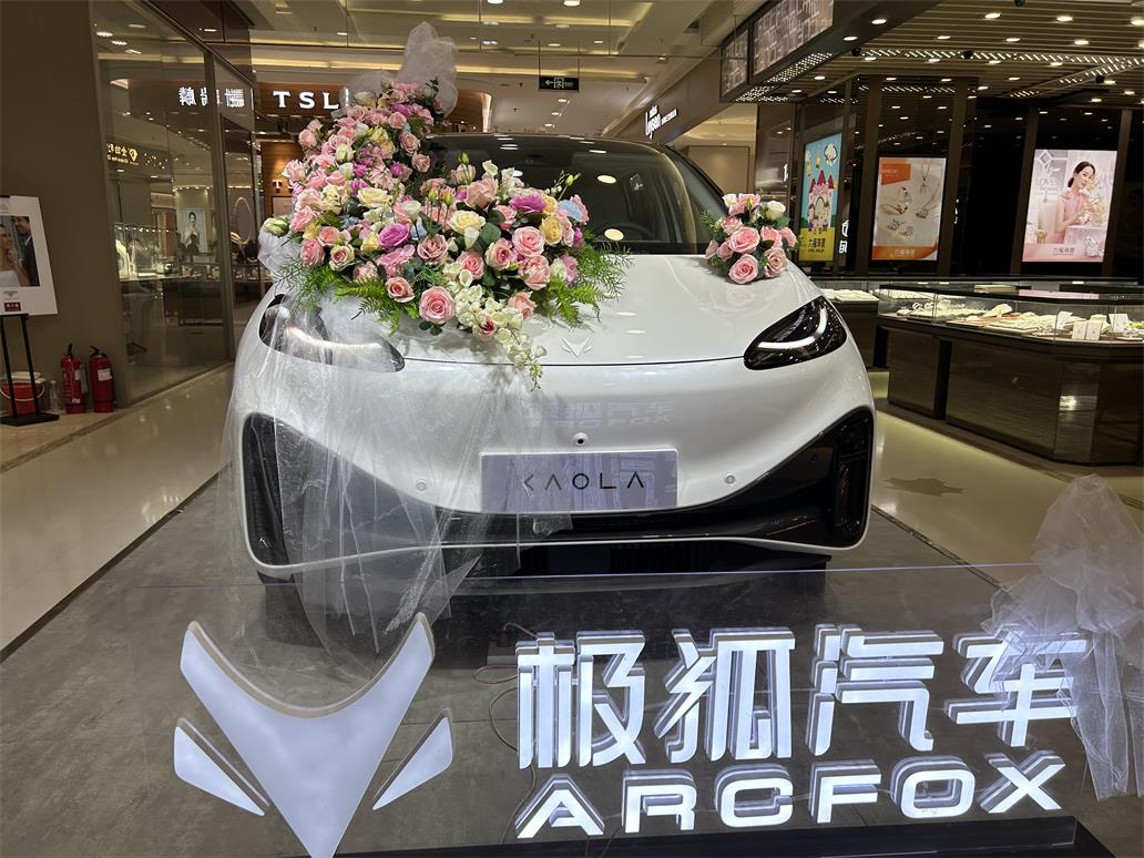 大河报汽车网