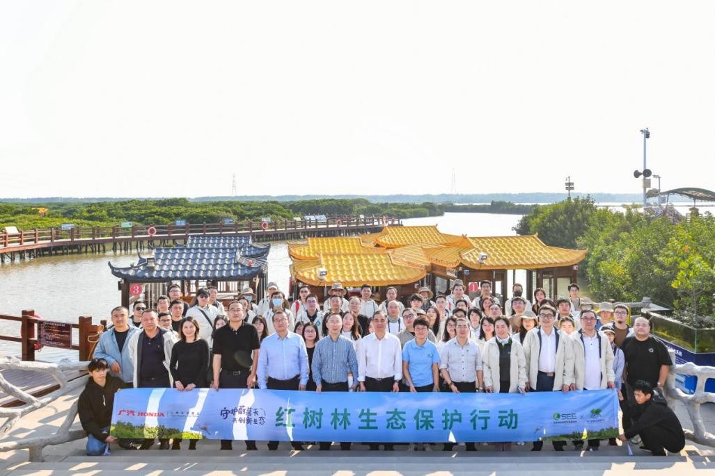 大河报汽车网