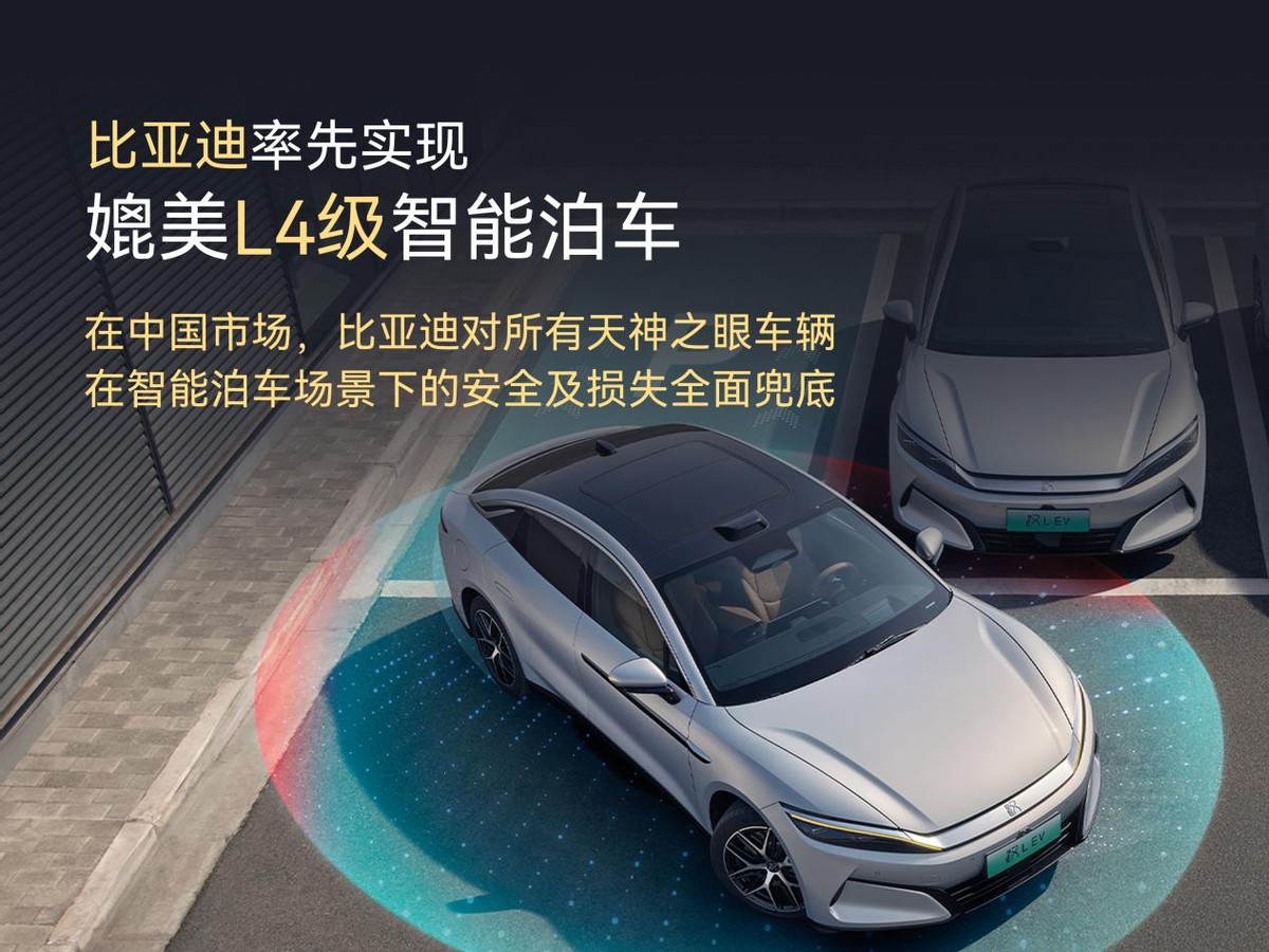 大河报汽车网