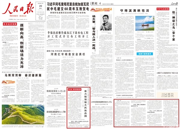 大河报汽车网